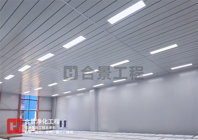 鋰電池?zé)o塵車(chē)間廠(chǎng)房建設(shè)